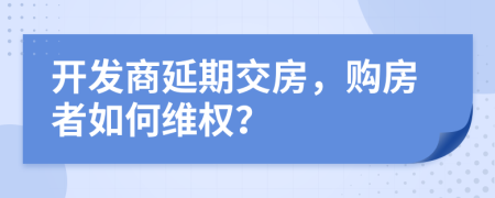 开发商延期交房，购房者如何维权？