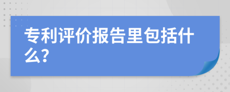 专利评价报告里包括什么？