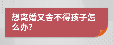 想离婚又舍不得孩子怎么办？