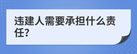 违建人需要承担什么责任？