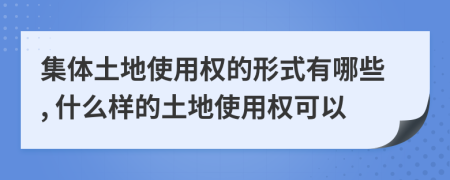 集体土地使用权的形式有哪些, 什么样的土地使用权可以