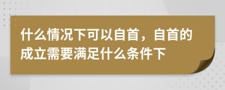 什么情况下可以自首，自首的成立需要满足什么条件下