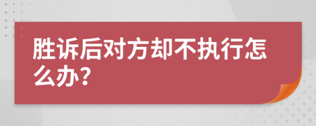 胜诉后对方却不执行怎么办？