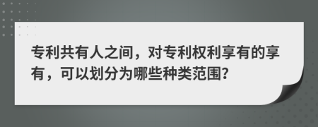 专利共有人之间，对专利权利享有的享有，可以划分为哪些种类范围？