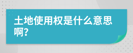 土地使用权是什么意思啊？