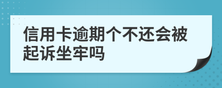 信用卡逾期个不还会被起诉坐牢吗