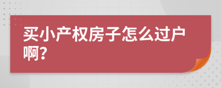 买小产权房子怎么过户啊？