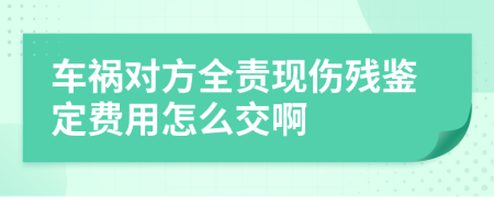 车祸对方全责现伤残鉴定费用怎么交啊