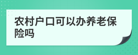 农村户口可以办养老保险吗