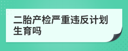 二胎产检严重违反计划生育吗