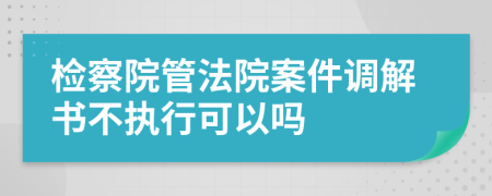 检察院管法院案件调解书不执行可以吗