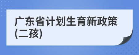 广东省计划生育新政策(二孩)