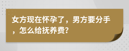 女方现在怀孕了，男方要分手，怎么给抚养费？