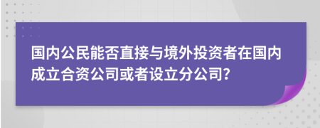 国内公民能否直接与境外投资者在国内成立合资公司或者设立分公司？