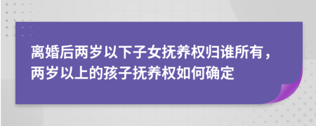 离婚后两岁以下子女抚养权归谁所有，两岁以上的孩子抚养权如何确定