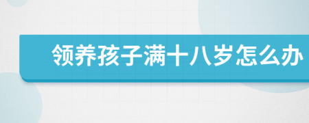 领养孩子满十八岁怎么办