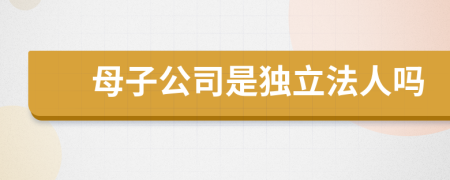 母子公司是独立法人吗