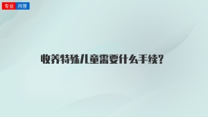 收养特殊儿童需要什么手续？