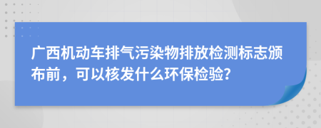 广西机动车排气污染物排放检测标志颁布前，可以核发什么环保检验？