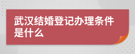 武汉结婚登记办理条件是什么