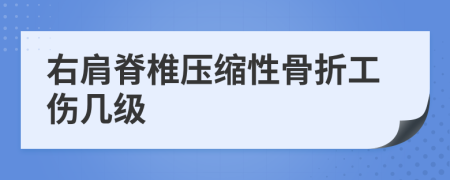 右肩脊椎压缩性骨折工伤几级