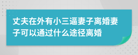 丈夫在外有小三逼妻子离婚妻子可以通过什么途径离婚