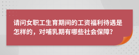 请问女职工生育期间的工资福利待遇是怎样的，对哺乳期有哪些社会保障？