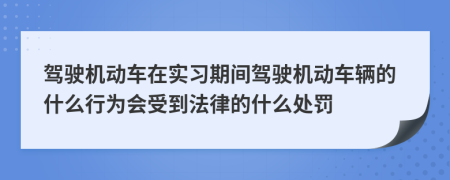 驾驶机动车在实习期间驾驶机动车辆的什么行为会受到法律的什么处罚