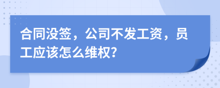 合同没签，公司不发工资，员工应该怎么维权？