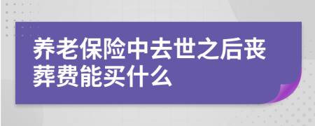 养老保险中去世之后丧葬费能买什么