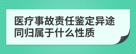 医疗事故责任鉴定异途同归属于什么性质