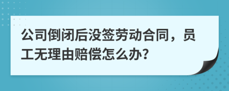 公司倒闭后没签劳动合同，员工无理由赔偿怎么办？