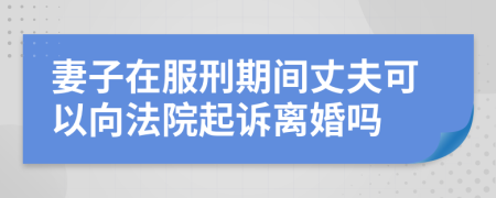 妻子在服刑期间丈夫可以向法院起诉离婚吗