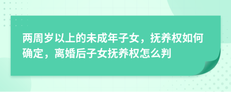 两周岁以上的未成年子女，抚养权如何确定，离婚后子女抚养权怎么判