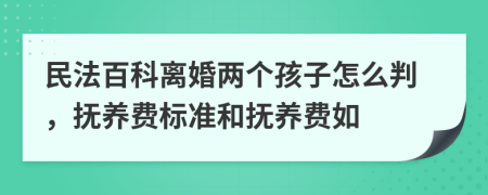 民法百科离婚两个孩子怎么判，抚养费标准和抚养费如