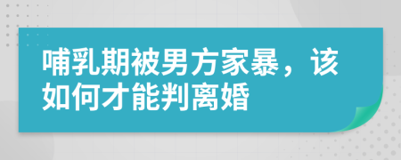 哺乳期被男方家暴，该如何才能判离婚