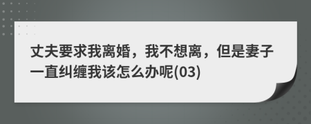丈夫要求我离婚，我不想离，但是妻子一直纠缠我该怎么办呢(03)