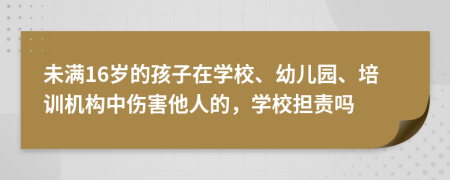 未满16岁的孩子在学校、幼儿园、培训机构中伤害他人的，学校担责吗