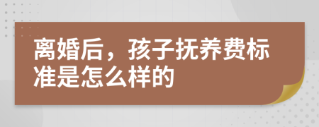 离婚后，孩子抚养费标准是怎么样的