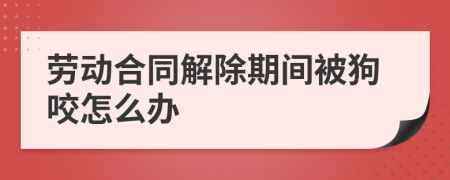 劳动合同解除期间被狗咬怎么办