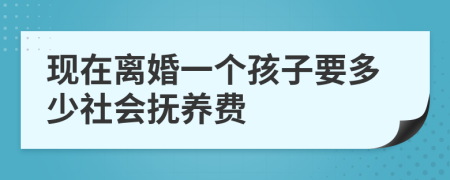 现在离婚一个孩子要多少社会抚养费