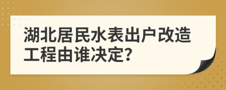 湖北居民水表出户改造工程由谁决定？