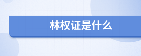 林权证是什么