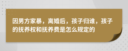 因男方家暴，离婚后，孩子归谁，孩子的抚养权和抚养费是怎么规定的