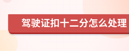 驾驶证扣十二分怎么处理