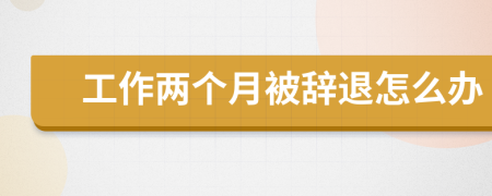 工作两个月被辞退怎么办
