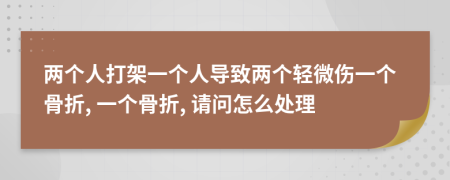 两个人打架一个人导致两个轻微伤一个骨折, 一个骨折, 请问怎么处理