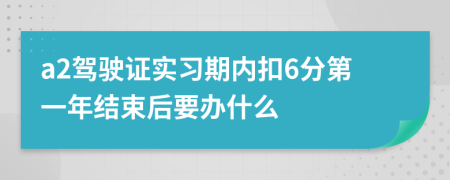 a2驾驶证实习期内扣6分第一年结束后要办什么