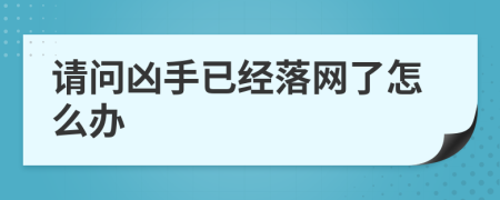 请问凶手已经落网了怎么办