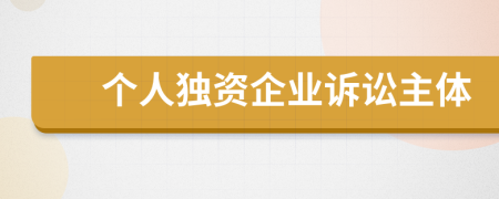 个人独资企业诉讼主体